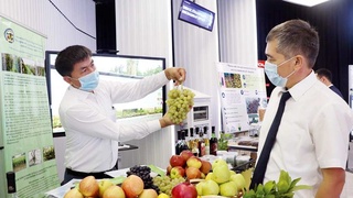 Шаг вперед: организована выставка научных разработок