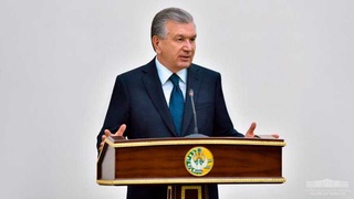 The emergency and its consequences are comprehensively analyzed, necessary measures are defined