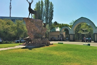 Ҳайвонот боғларида қанча мавжудот бор?