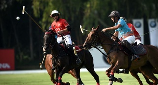 Ўзбекистонда Поло федерацияси пайдо бўлди