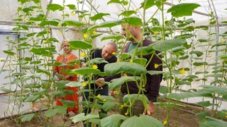 Международный эксперт ФАО оценил результаты внедрения «умного земледелия» в Узбекистане