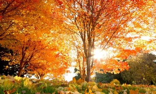 Weather forecast for November 14th