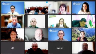 В Ташкенте обсудили вопросы сохранения сельскохозяйственного наследия мирового значения