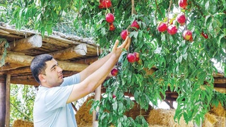 Научный подход к сфере как основа обеспеченной жизни, роста благосостояния народа и процветания страны