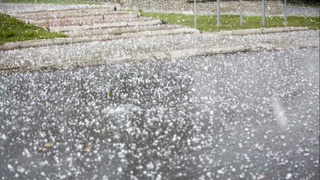 Бугун айрим жойларда дўл ёғиши мумкин — Ўзгидромет