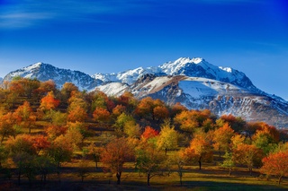 Бугун баъзи жойларда чанг-тўзонлар кузатилиши мумкин — Ўзгидромет