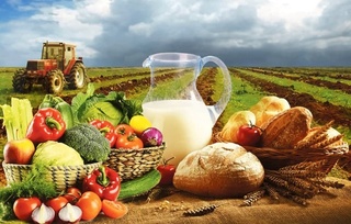 Қишлоқ хўжалиги маҳсулотлари ҳажми 112,5 триллион сўмни ташкил этган