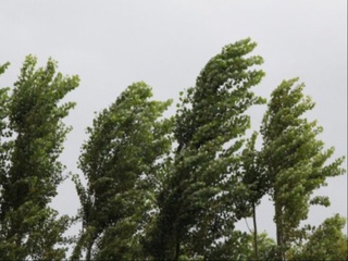 Dam olish kunlari kuchli shamol, yomgʻir va havoni salqinlashishi kutilmoqda