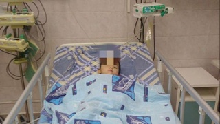 SSV: Onasi ayiqning qafasiga uloqtirgan qizaloq tibbiyot xodimlari nazoratida