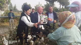 Сенаторлар пахта теримчилари билан учрашди