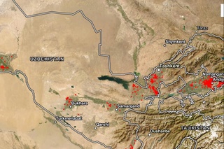 Май охиридан бери дала ёнғинлари майдони 14,5 минг гектардан ошди — “Ўзбеккосмос“