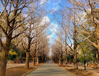 Пешгӯии обу ҳаво барои 24 январ