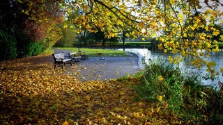 Weather forecast for September 24th