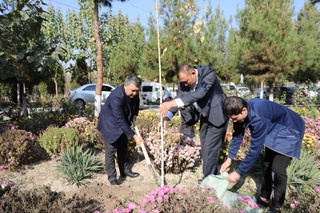 OTMlarda “Yashil makon — 2023” tadbirlari davom etmoqda