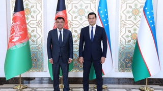 Обсужден ход многопланового сотрудничества с Афганистаном