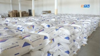 В Акдарье запущено производство растительного мяса