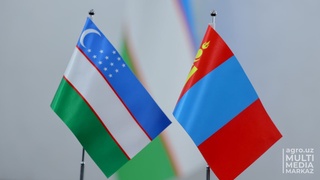 Moʻgʻuliston bilan koʻp qirrali hamkorlik rivojlantiriladi