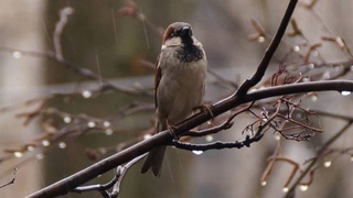 Прогноз погоды на 30 января