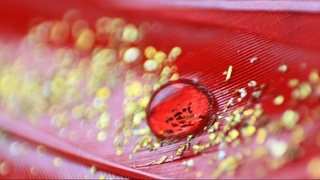 Сколько человек в мире обладают «золотой кровью»?