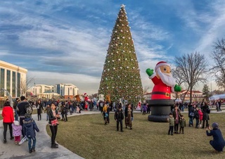 Ждать ли снега на Новый год: синоптики рассказали о погоде в праздничные дни