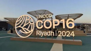 Инициатива Узбекистана вошла в итоговое решение COP16