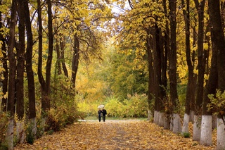 9 октябрь кунги об-ҳаво маълумоти эълон қилинди
