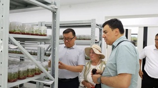 Orolboʻyi ekologiyasini yaxshilash borasidagi xalqaro hamkorlik mustahkamlanyapti