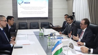 Нотариат глазами экспертов