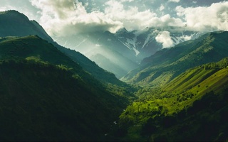 Дирекция ТРЗ «Чарвак» запустила Telegram-бот для борьбы с экологическими нарушениями в Бостанлыкском районе