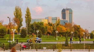 В течение недели осадков не ожидается, температура поднимется до +25