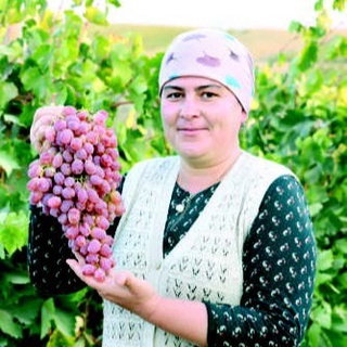 Тадбиркорга ишонч ва рағбат мамнунлик, қувонч бағишлаб, янада фаолликка ундайди  