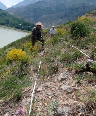 Далварзин чўлидан илк бор Tulipa Borszczowii Baker турининг сенопопуляцияси топилди