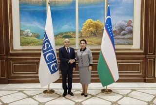 В Сенате прошла встреча с представителями ОБСЕ