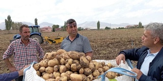 Өзбекстандық мамандар Түркияда тұқымдық картоп  өсіруді үйренді