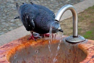 Осы аптада ауа температурасы +45 градуста сақталады