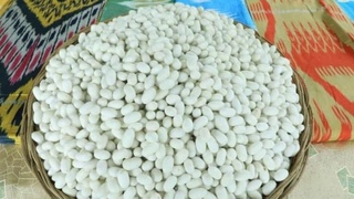 Сурхондарёлик пиллакорлар ҳам зафар қучди