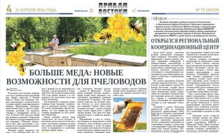 Больше меда: новые возможности для пчеловодов