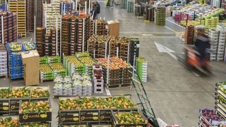 Самарқандда 5 та агрологистика маркази ишга туширилди