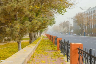 Bu yil oktyabr oyida qanday ob-havo boʻlishi kutilmoqda?