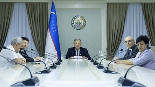 Состоялось первое заседание групп дружбы Сенатов Узбекистана и Египта