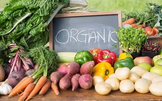Утверждена Концепция развития производства органической продовольственной продукции