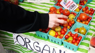 Organik mahsulotlar ishlab chiqarish Qonun bilan tartibga solindi