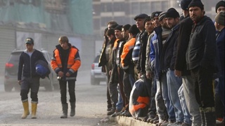 Россия ИИВ мигрантларнинг патент асосида меҳнат фаолиятини амалга ошириш тартибига қўшимча изоҳ берди