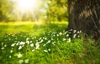 Жаңбырмен басталған осы аптаның соңында ауа температурасы 28 градусқа дейін көтеріледі