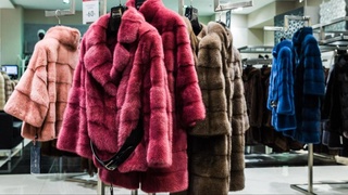 Yevropada moʻynali kiyimlar ishlab chiqarish taqiqlanishi mumkin