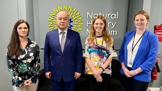 Promising areas of cooperation between museums of Uzbekistan and the United Kingdom were discussed in London