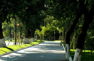 Dam olish kunlari issiq biroz pasayadi