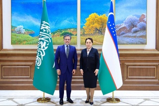 В Сенате состоялась встреча с главой представительства «ACWA Power» в Узбекистане