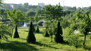 In Tashkent, the area of parks and squares is planned to increase five times by 2030
