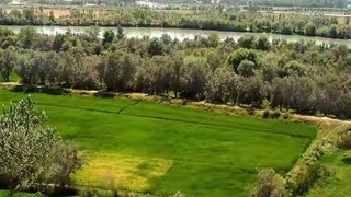 Байрам кунлари қулай ҳарорат бўлади 